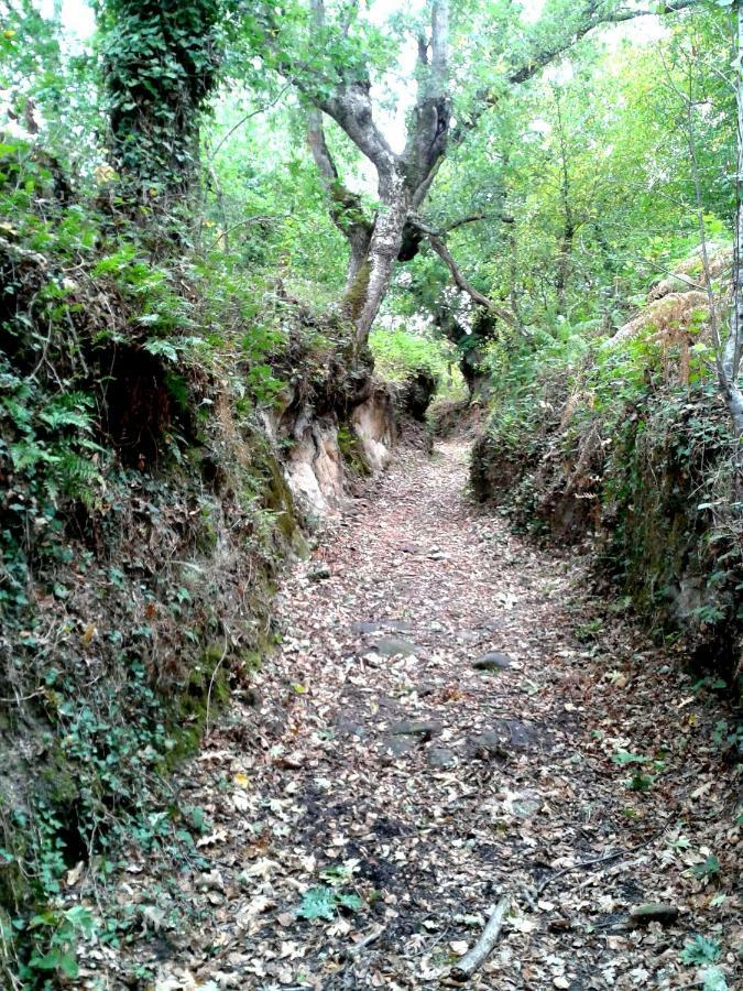 Olas de Villarino Apartamentos Turisticos Casa Dos Pulidos מראה חיצוני תמונה